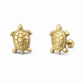 Broquel de tortuga en oro de 10K de Joyería ROMA, con detalles de diseño en oro amarillo y acabado brillante.