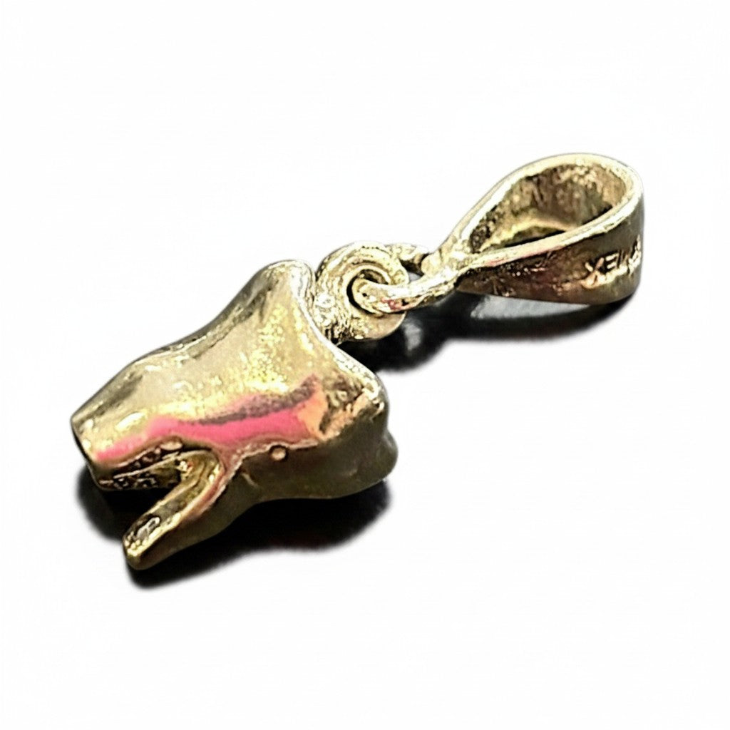 Dije de Muela en Plata .925 para Dentista