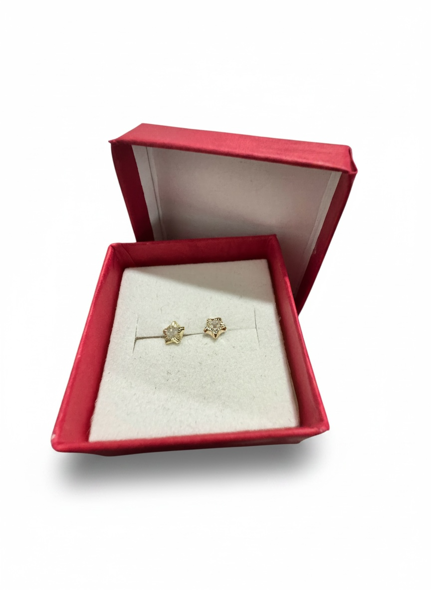 Broquel de oro 10K con estrella y zirconia brillante, diseño elegante y detallado, joyería fina de Joyería ROMA.